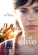 El Olivo (The Olive Tree)