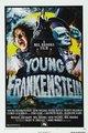 Young Frankenstein