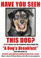 Dog's Breakfast, A