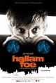 Hallam Foe (Mister Foe)