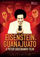 Eisenstein In Guanajuato