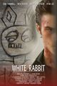 White Rabbit