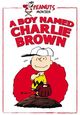 Boy Named Charlie Brown, A