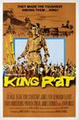 King Rat