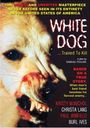 White Dog