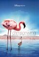 Crimson Wing: Mystery of the Flamingos, The