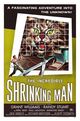 Incredible Shrinking Man, The